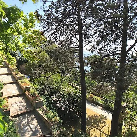 Вилла Terrazza *